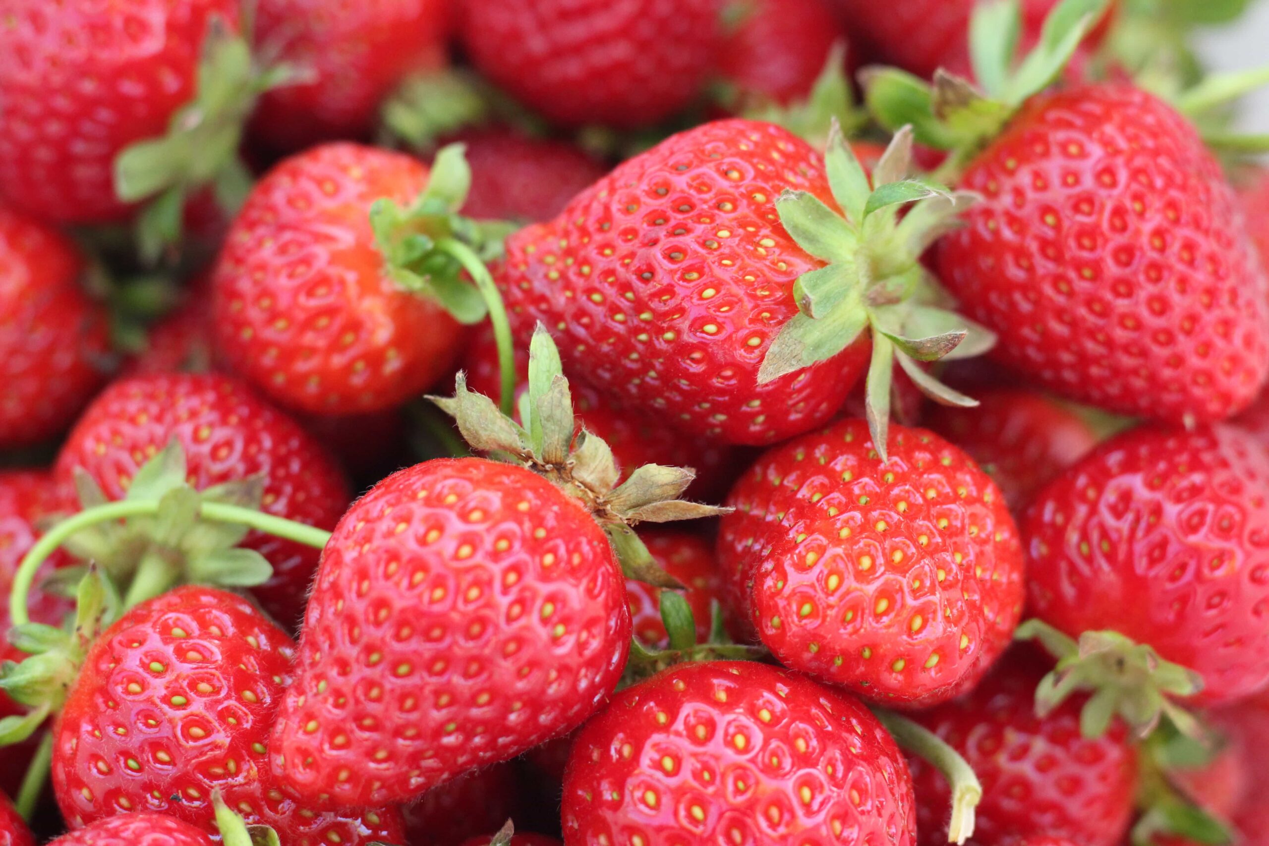 image de plusieurs fraises anaïs et d'une coupé en deux