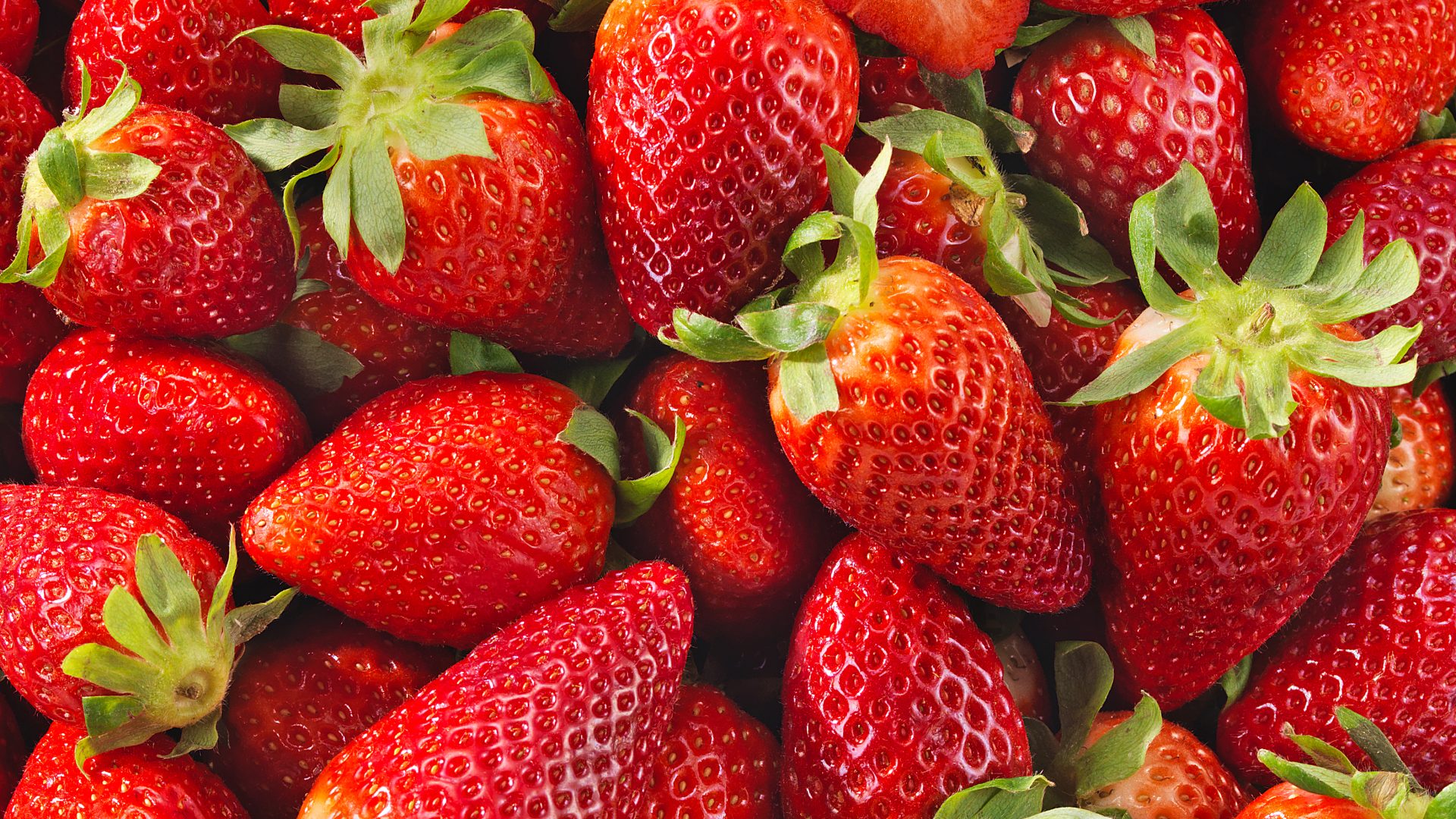 image d'un fraisier